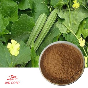 Luffa Powder