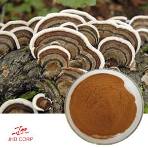 Organic Coriolus Versicolor Extract