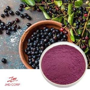 Maqui Berry Extract Powder