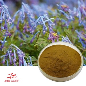 Corydalis Extract