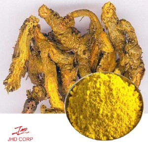 Coptis Chinensis Extract