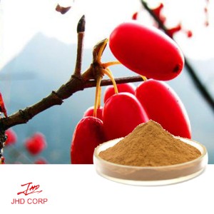 Cornus Officinalis Extract Powder