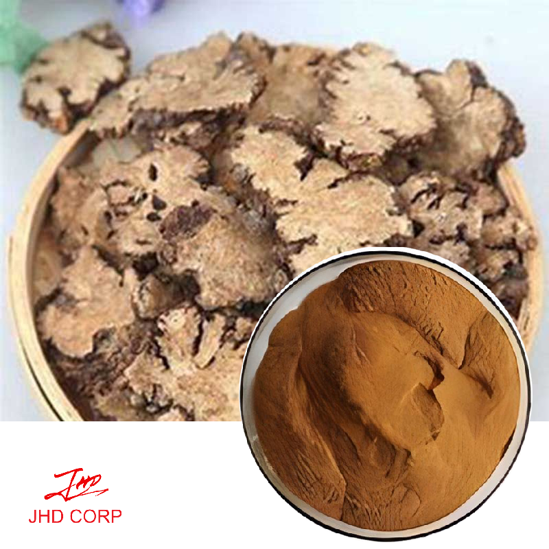 Rhizoma Chuanxiong Extract