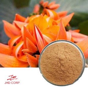 Butea Superba Extract (Red Kwao Krua) 