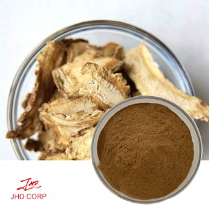 Angelica Extract