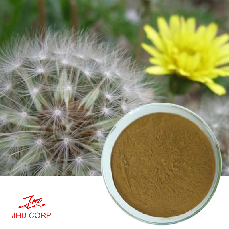 Dandelion Root Extract