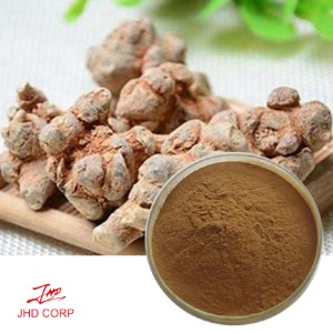 Panax Notoginseng Root Extract