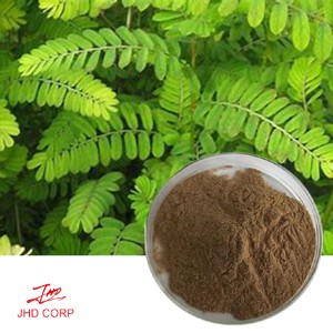 Phyllanthus Niruri Extract