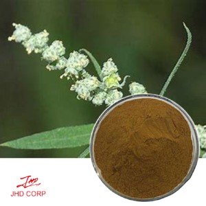 Chenopodium Album Extract