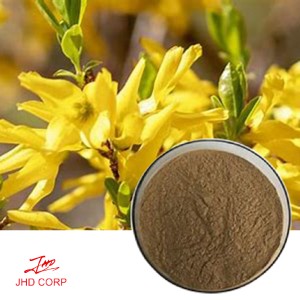 Forsythia Extract