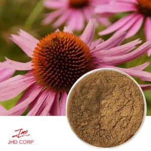 Echinacea Purpurea Extract