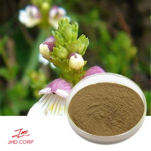 Eyebright Extract Powder