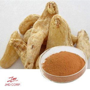 Gastrodiae Rhizoma Extract