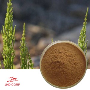 Horsetail Extract