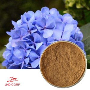 Hydrangea Root Extract