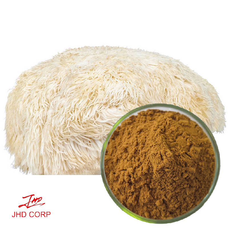 Lion's Mane (Hericium erinaceus) Extract Factory Supply