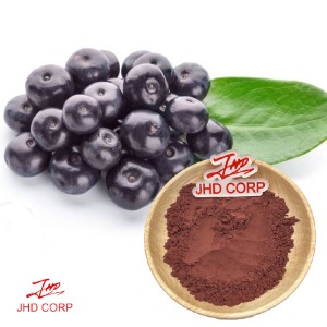 High Quality Acai Berry Powder