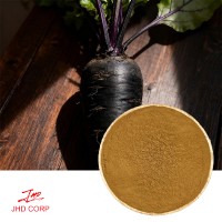 What Real Health & Usage Benefits Does Black Carrot Extract Provide? What Real Health & Usage Benefits Does Black Carrot Extract Provide?