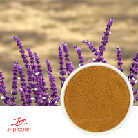 What Exactly is Salvia Officinalis Extract and Why Should You Care? What Exactly is Salvia Officinalis Extract and Why Should You Care?