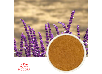 What Exactly is Salvia Officinalis Extract and Why Should You Care?