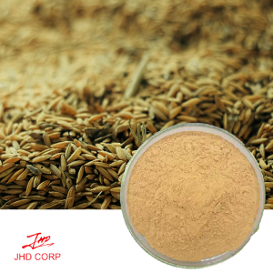 What Exactly is Barley Malt Extract and Why Should You Care?