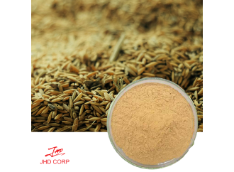 What Exactly is Barley Malt Extract and Why Should You Care?