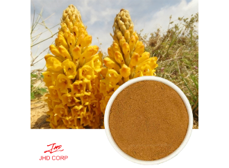 What Is Cistanche Extract and Why Should You Know About It?