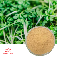 What Is Broccoli Sprout Extract, and Why Should You Care?