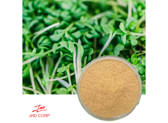 What Is Broccoli Sprout Extract, and Why Should You Care?