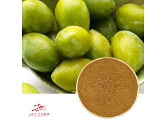 What Is Kakadu Plum Extract, and Why Should You Care?